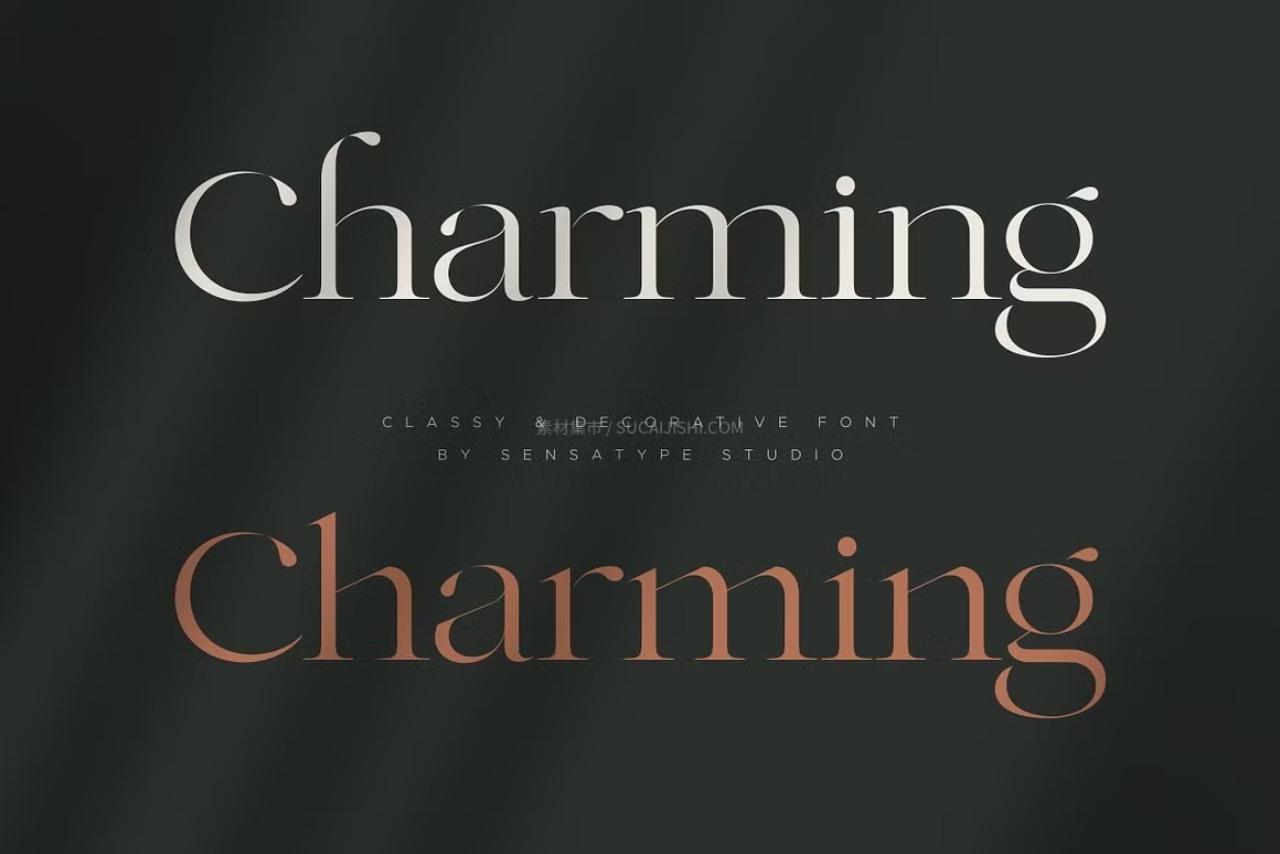 Charming 优雅贵气品牌字体